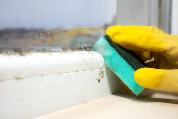 Best Mold Testing  in Midfield, AL
