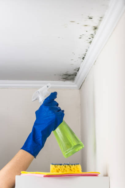 Best Mold Testing  in Midfield, AL